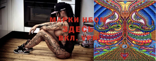 ПСИЛОЦИБИНОВЫЕ ГРИБЫ Белокуриха