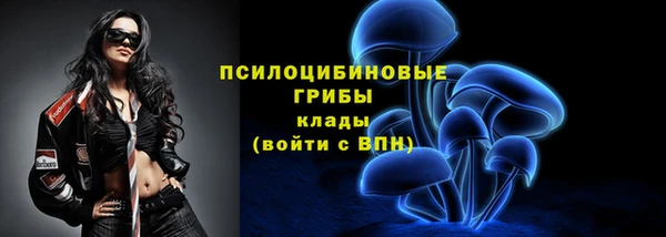 ПСИЛОЦИБИНОВЫЕ ГРИБЫ Белокуриха
