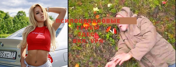 ПСИЛОЦИБИНОВЫЕ ГРИБЫ Белокуриха